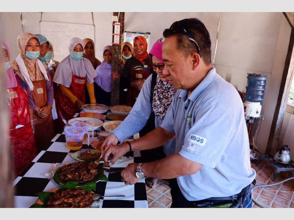 VIP 2017 regional impact