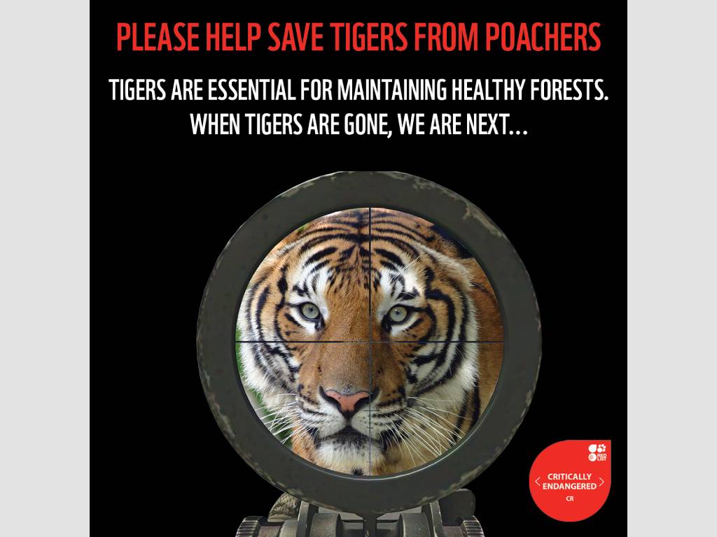 WWF conservation campaign