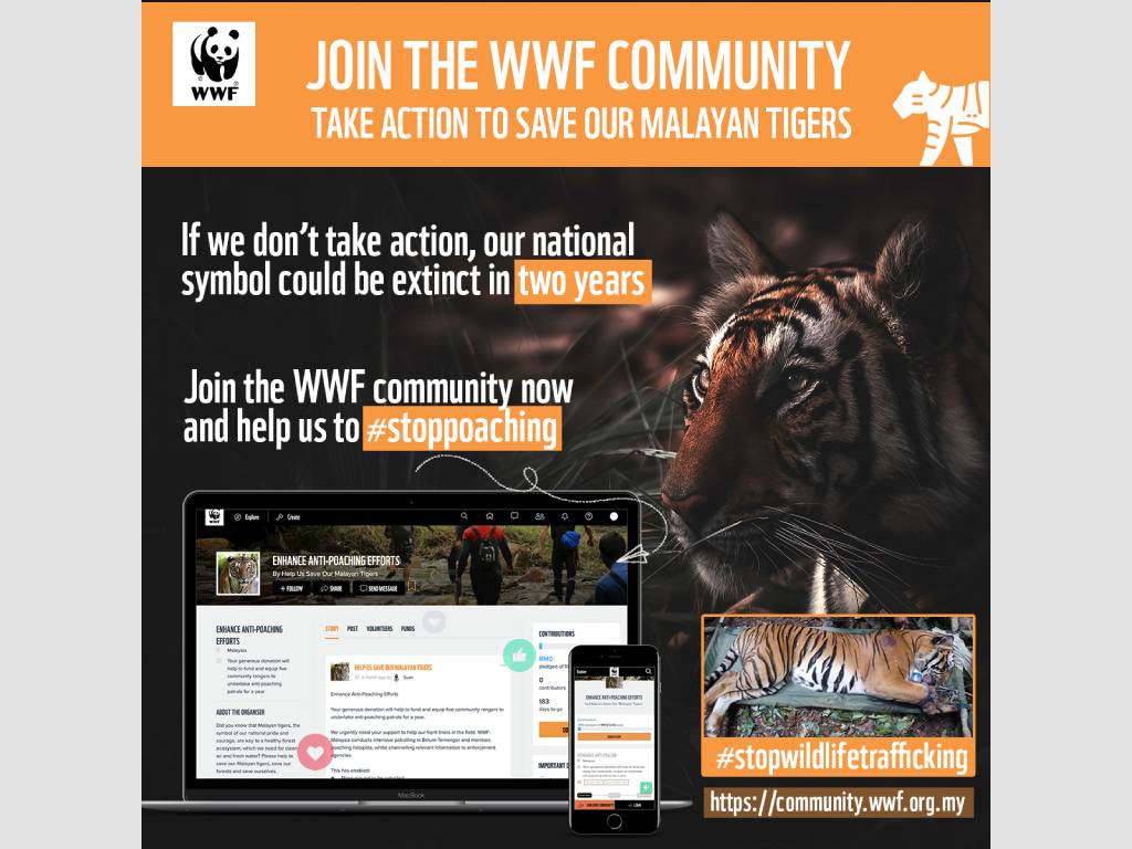 WWF awareness advertising